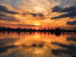 【江津湖】美しい夕暮れが楽しめる人気スポット。毎年8月には「江津湖花火大会」が開催され、県内外より多くの人が訪れます。