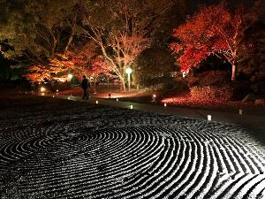 【細川刑部邸】紅葉時、通常入れない庭園を開放しライトアップイベントを開催（写真提供：熊本県観光連盟)