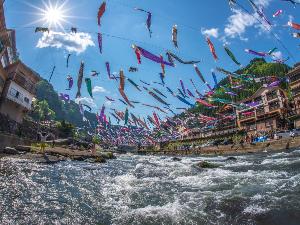 【杖立温泉 鯉のぼり祭り】毎年G.W.期間中に開催。毎年3000匹以上の鯉のぼりが泳ぎます！(写真提供：熊本県観光連盟)
