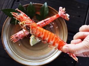 【車えび】熊本は魚介も名産です！天草市（上天草）は、車えびも養殖発祥の地として知られます。（写真提供：熊本県観光連盟)