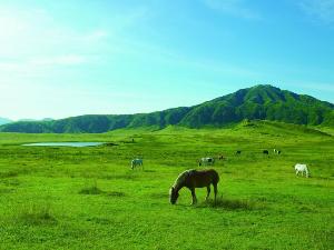 【草千里】火山を一望できる広大な草原地。大パノラマを楽しめる展望場もぜひ(写真提供：熊本県観光連盟)