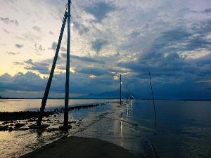 【長部田海床路】有明海の干潮時のみ現れる道。フォトスポットとしも人気！(写真提供：熊本県観光連盟)