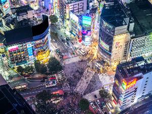 周辺観光｜渋谷駅（公共交通機関で約20分）