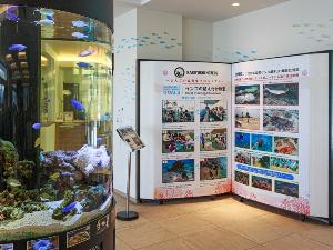 ホテル館内ミニ水族館
