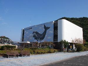 【周辺観光】くじらの博物館＜写真提供：（公社）和歌山県観光連盟＞