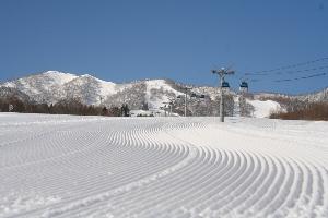 富良野スキー場