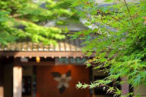 【外観玄関】万葉集には「橘」について度々詠まれております。
