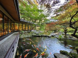 【日本庭園】ラウンジ前の庭園では色彩豊かな錦鯉が泳いでおります。