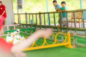 【遊園地内】アヒルレース　※土日祝のみ営業　