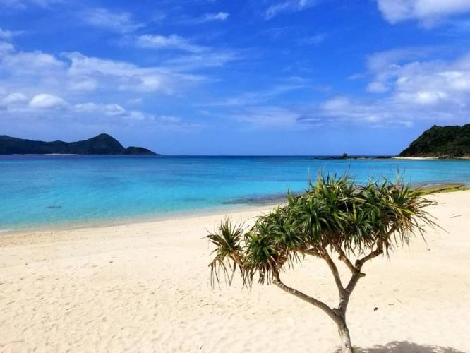 打田原ビーチ沿いの貸別荘です