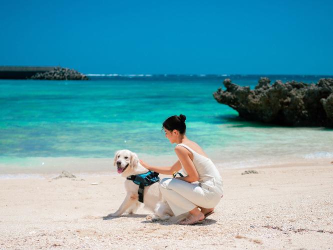 【愛犬と一緒に過ごす】愛犬と宮古島の海を満喫するなら、リゾート内にあるシギラビーチへ。