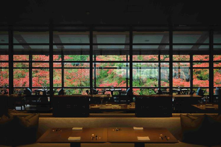 ◆レストラン「TENJIN」　｜ガラス窓の向こうに広がる紅葉