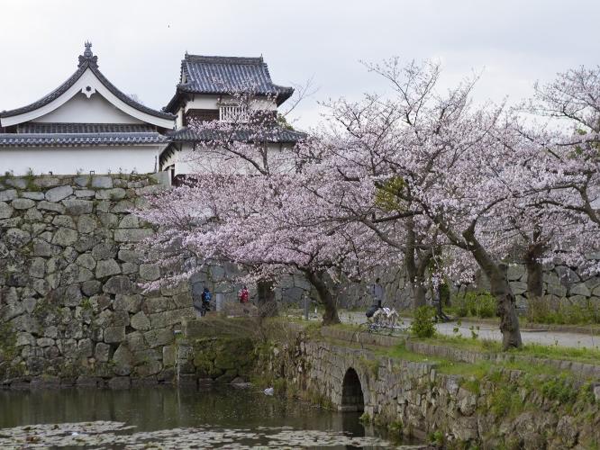 舞鶴公園（公共交通機関19分、または徒歩24分）