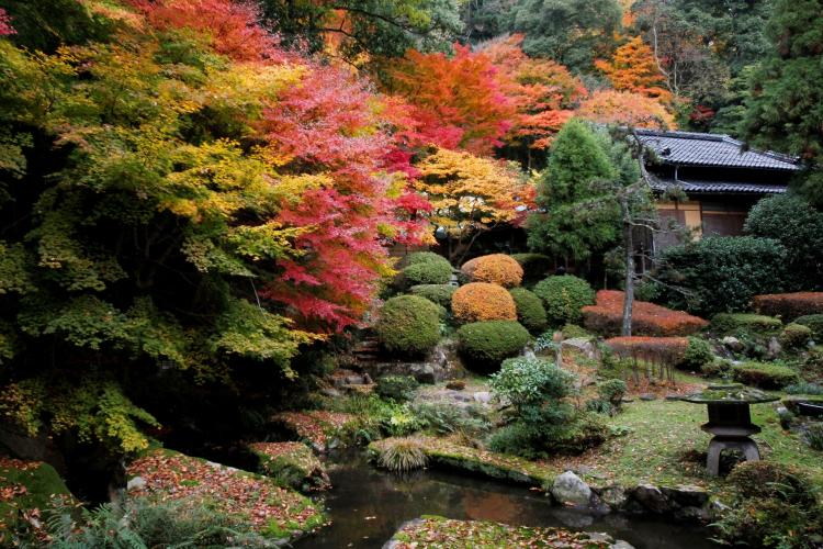 秋の依水苑。紅葉の時期が一番の見頃。