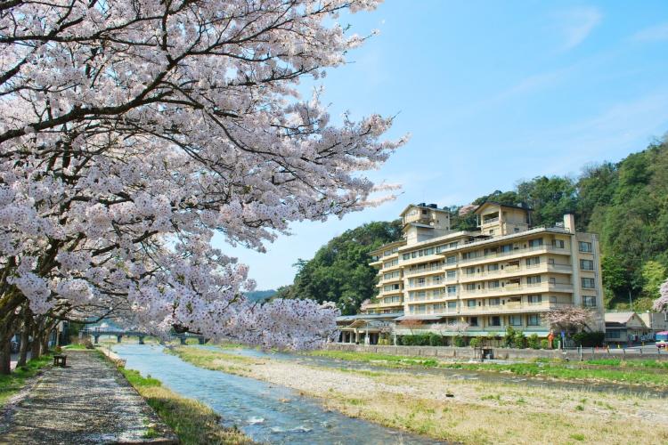 春の依山楼岩崎