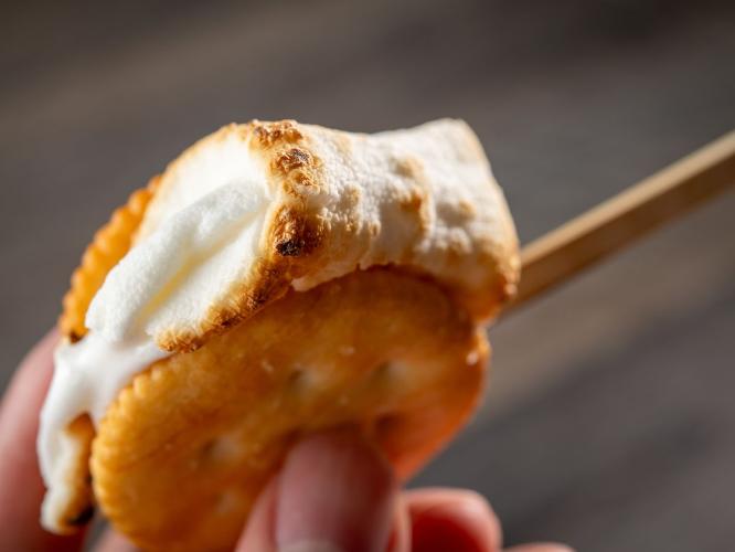 【夕食】里山ビュッフェ「焼きマシュマロ」