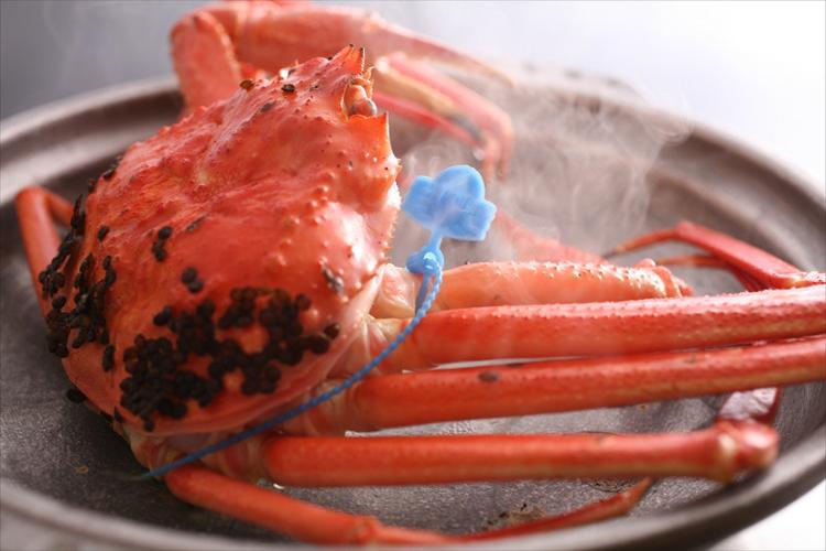 1ｋｇ以上の活松葉ガニを使用した「大ガニコース」