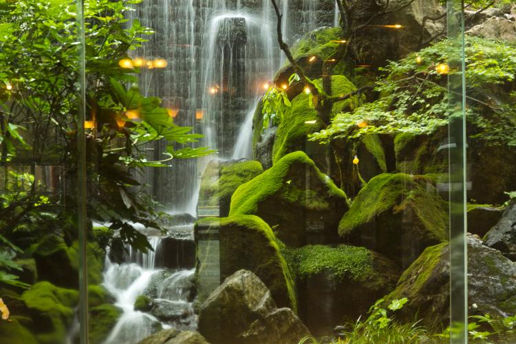 ■お出迎えは和風庭園■<BR><BR>