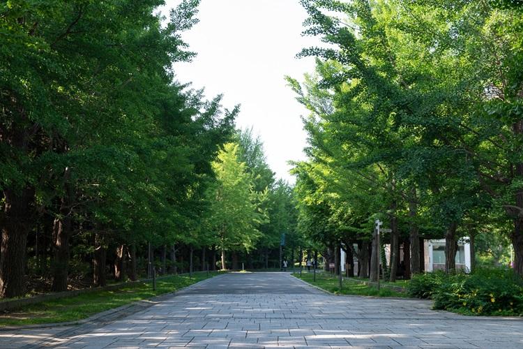 中島公園