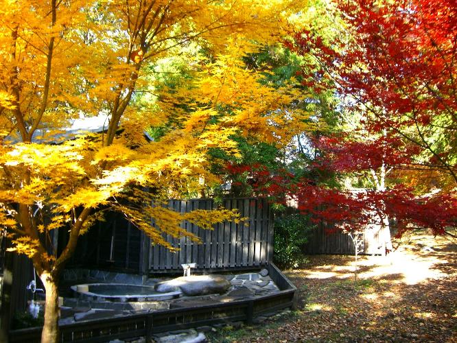 もみじの湯　初夏のみずみずしい若葉や、秋の紅葉がとくにお勧めです。