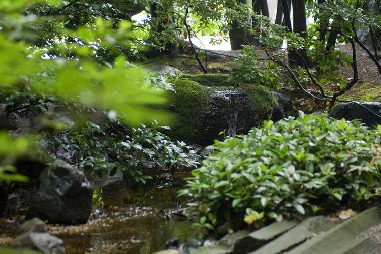 ■【ロビーラウンジ横の庭園】美しい緑に包まれ森林浴の一時を。営業時間／7:30〜10:00、15:00〜18:00