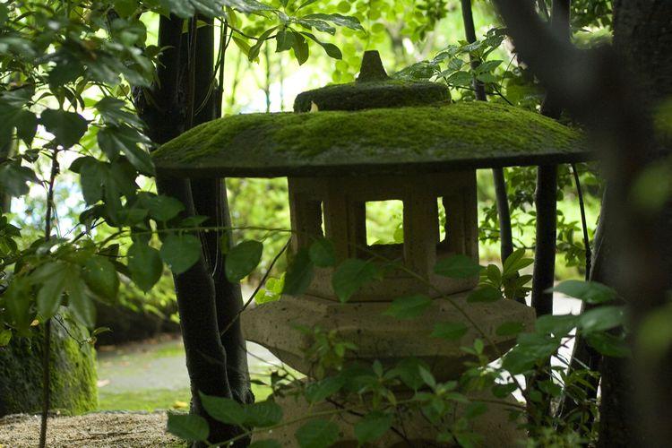 ■【ロビーラウンジ横の庭園】美しい緑に包まれ森林浴の一時を。営業時間／7:30〜10:00、15:00〜18:00