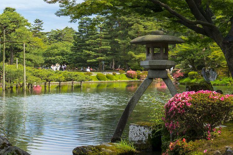 【金沢の観光スポット】■【春の兼六園・ことじ灯篭】※石川県の有名観光スポット。紅葉が美しい。当館から車で約６０分程です