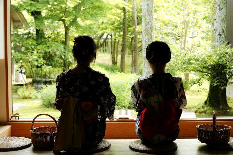 【山代温泉の観光スポット】■【魯山人寓居跡いろは草庵】風情あふれる庭園を眺めて・・・