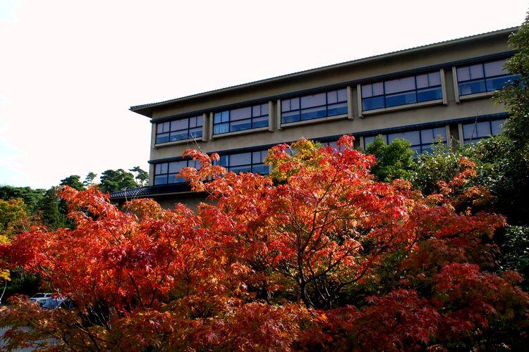 ■みどりの宿　萬松閣　山代温泉の高台に位置する「緑の自然豊かな天然温泉の宿」