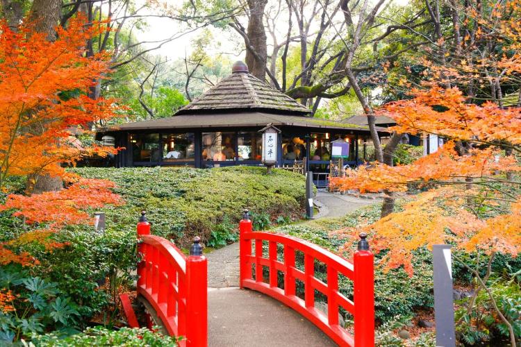 【日本庭園】鉄板焼きレストラン「石心亭」と紅葉（イメージ）
