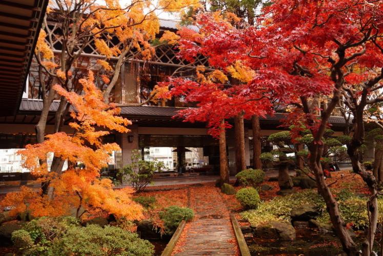 【松岡庭園】秋