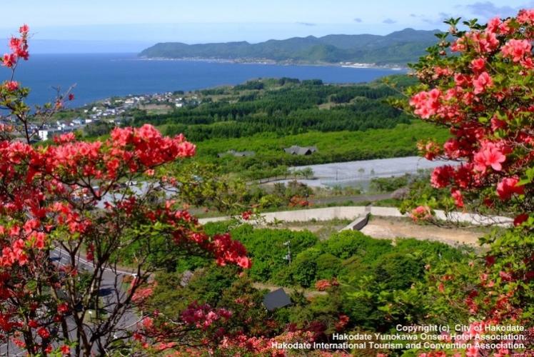 毎年５月下旬〜６月上旬に見頃をむかえるつつじ。60万本もの花々が咲き誇り、山裾が真紅に染まります