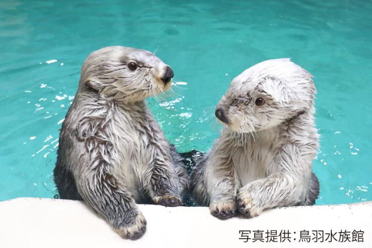 鳥羽水族館