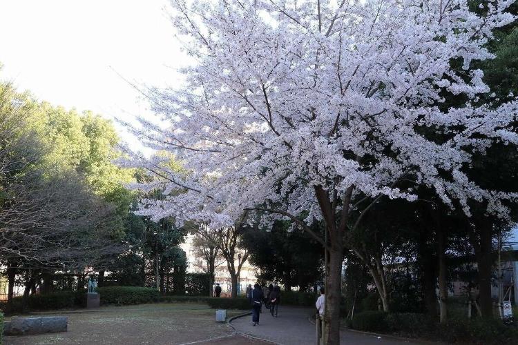 ホテルから徒歩5分の公園です。癒されますね♪