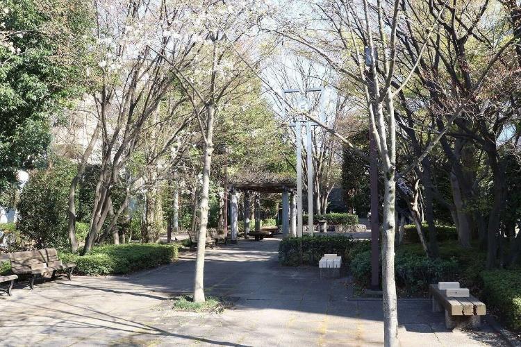 ホテルから徒歩5分の公園です。癒されますね♪
