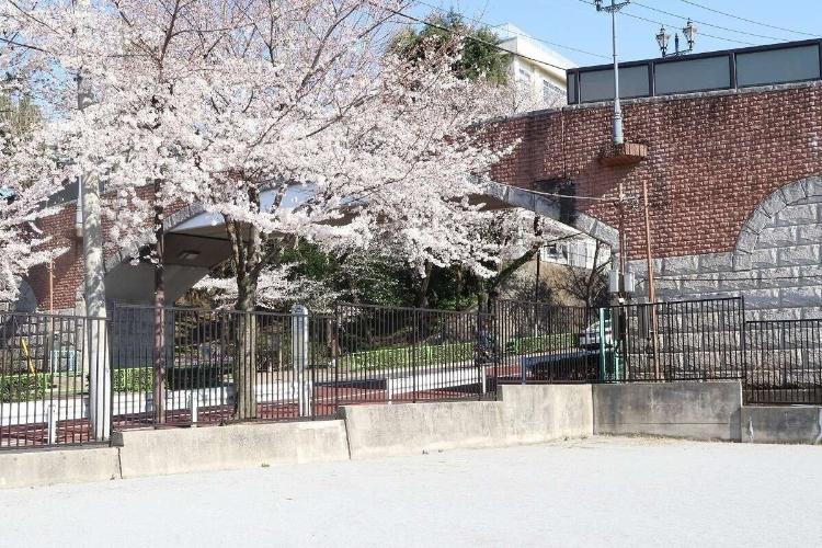 レンガ造りの橋と桜が非常に合うフォトスポットです。