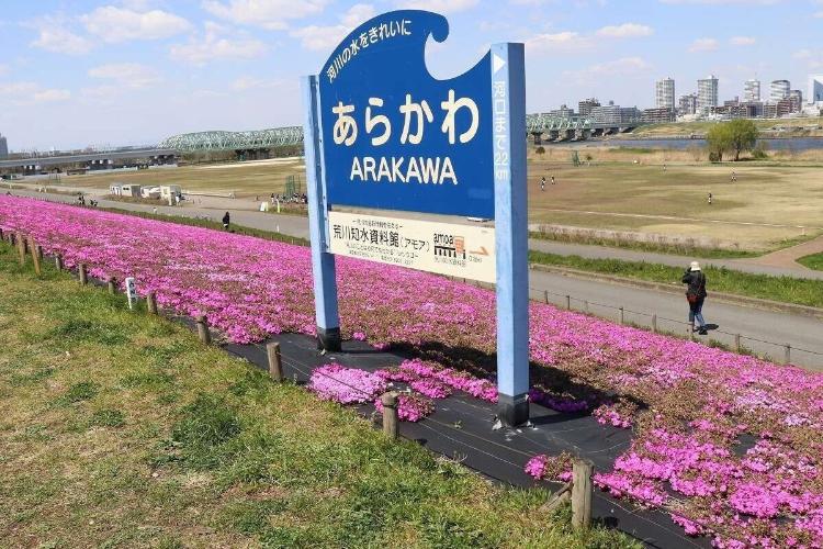 花を愛でながら荒川の雄大さを見ることができるスポットです。