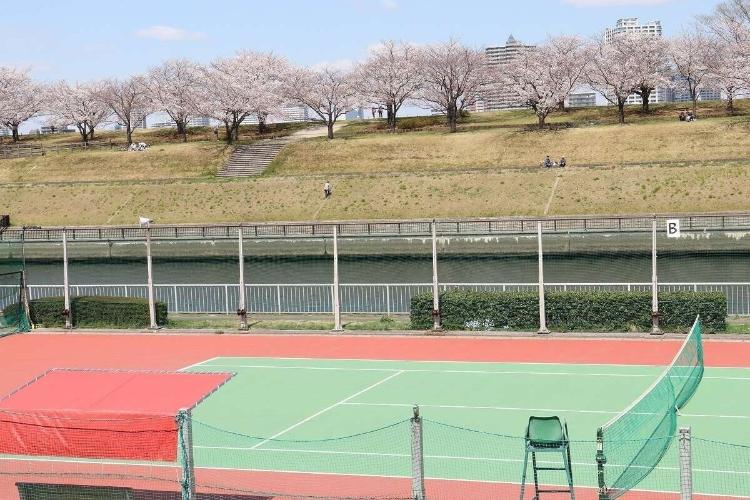 新河岸川沿いのテニスコート。テニスをしながら桜も楽しめるとは最高ですね♪