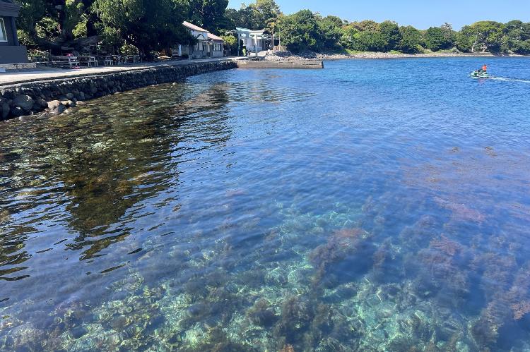 大瀬の透明度抜群な海