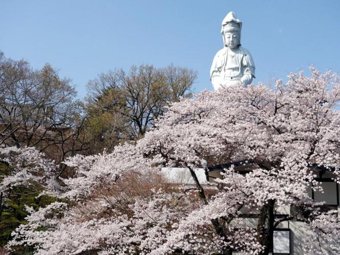 ホテル周辺