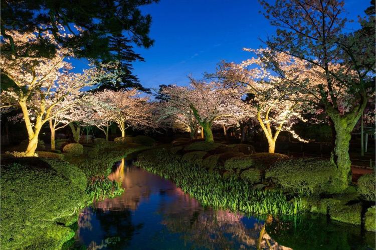 兼六園(金沢駅よりバス20分)【写真提供：金沢市】