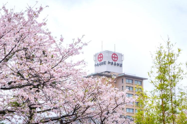 和多屋別荘春の景観