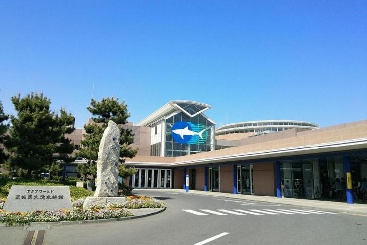 周辺観光（イメージ）