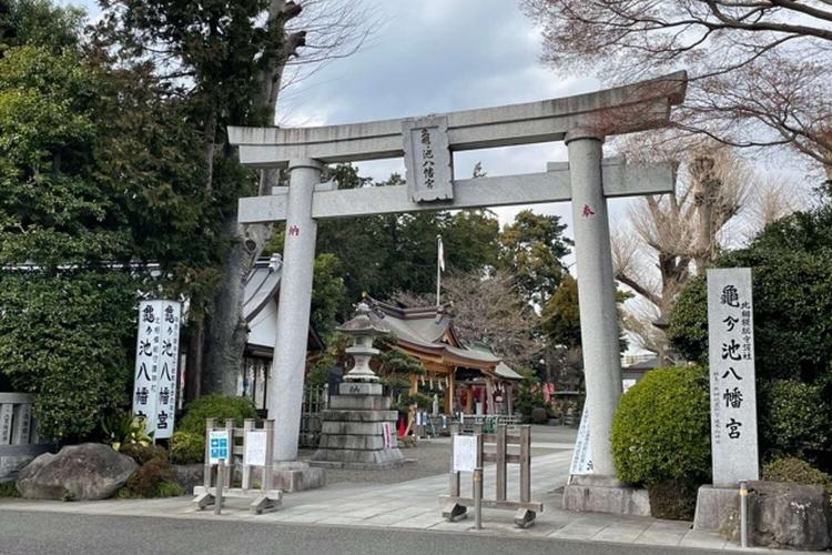 【亀ヶ池八幡宮】