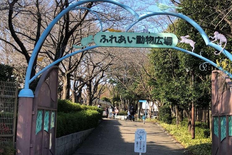 【相模原公園内　ふれあい動物広場】車で１５分程