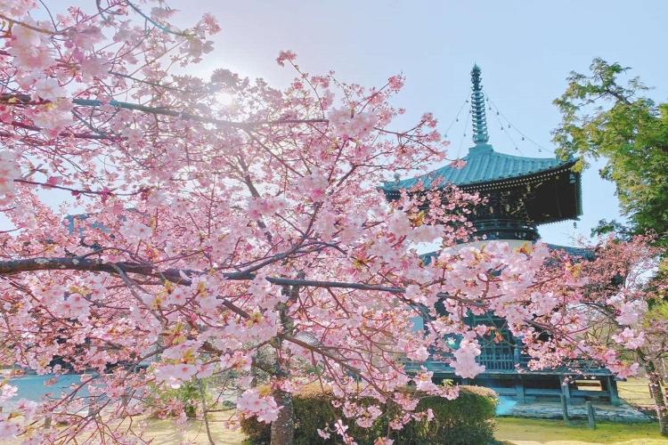 ◆清凉寺（ホテルより車で4分）