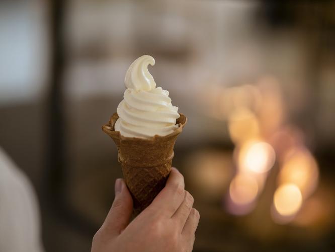 【オールインクルーシブ】2024/12/28からスタート！自家製ソフトクリーム　※写真はイメージです