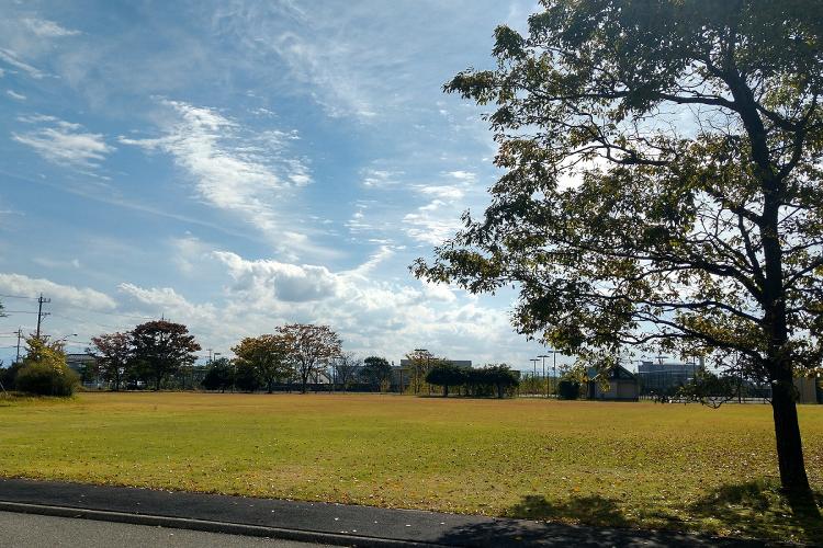 ◆敷地内の芝生広場。夏場にはBBQ会場になります。