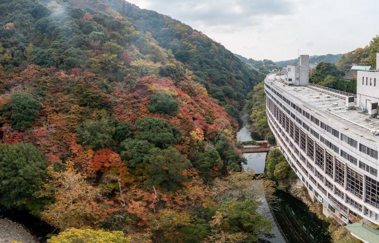 秋は紅葉が見頃です(11月下旬～12月上旬が例年)