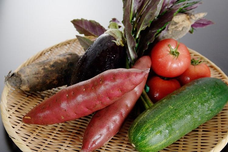 加賀野菜を使用した会席料理